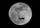 Picture for song 'Fly me to the moon' by artist 'Manel Cabedo Filizzola'