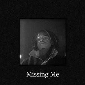 Picture for song 'Gunna Free Type Beat "Missing Me" by Neskko' by artist 'Neskko'