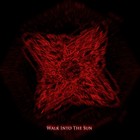 Picture for song 'Walk Into The Sun' by artist 'Ninja Party'