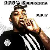 Picture for song '110ANGSTA' by artist 'PPVTHEYOUNG'