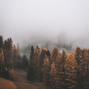 Picture for song 'Dura' by artist 'P.R Beats'