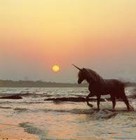 Picture for song '5. The Unicorn' by artist 'Rainmen At Sunset'
