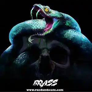 Picture for song 'BRASS (BUY 1 GET 4 FREE)' by artist 'Razdam Beatz'