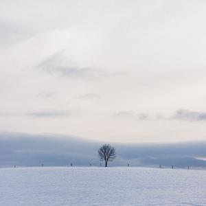 Picture for song 'Night shade' by artist 'Relaxing Meditation Music'