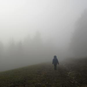 Picture for song 'Into the Mist (Short Film Soundtrack)' by artist 'Ross Smithe'