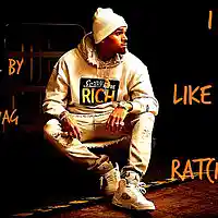 Picture for song '*FREE DOWNLOAD* Chris Brown Beat-Like Em Ratch' by artist 'Schwag Music'