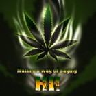 Picture for song 'Higher' by artist 'SkeptikMC'