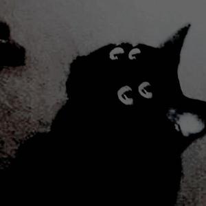 Picture for song 'low life' by artist 'I055 for Love'