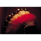 Picture for song '01 Creator's Heart Part 1.MP3' by artist 'The Living Word'