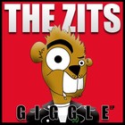 Picture for song 'My Birthday Sucks' by artist 'The Zits'