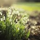 Picture for song 'Patience' by artist 'Thomas Kerr'