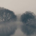 Picture for song 'To Let Go' by artist 'Thomas Kerr'