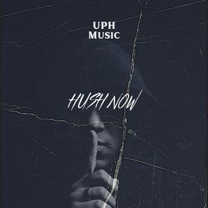 Picture for song 'Hush Now Alternative Guitar Hip Hop' by artist 'UPH Music'