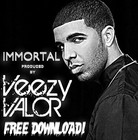 Picture for song 'Immortal (CHILL) **DRAKE**' by artist 'Veezy Valor Beatz'