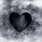 Picture for song 'Anti Love - WLR002 ((FREE DL))' by artist 'WasteLand Rise Productions'