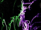 Picture for song 'keep it dark' by artist 'wicked joker productionz'