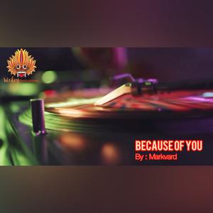 Picture for song 'Because of You - Markvard' by artist 'WickeyProductions'