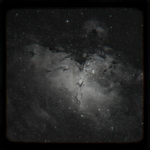 Picture for song 'starlight' by artist 'yungshazl'