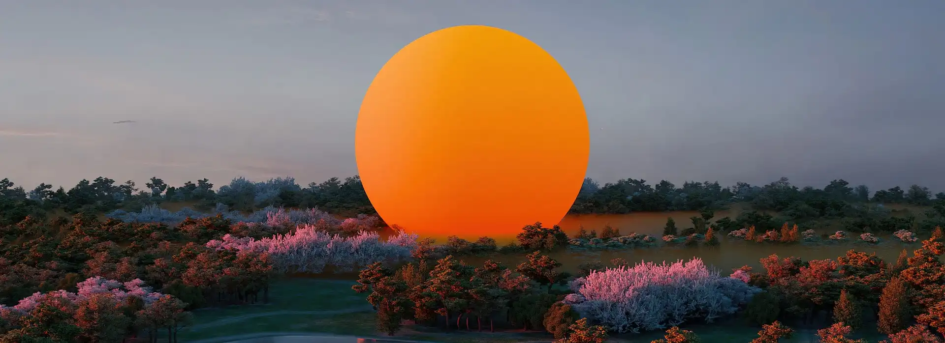 cover pic