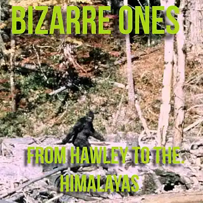 Picture for song 'From Hawley To The Himalayas Conclusion' by artist 'Bizarre Ones Studios'