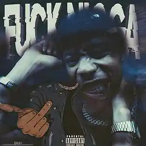 Picture for song 'Fuck Ni66a (Prod by V.S The Crazy)' by artist 'Bray La Cool'