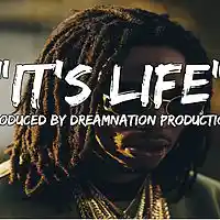 Picture for song 'Its Life (Migos Style) ' by artist 'Dreamnation Productionz'