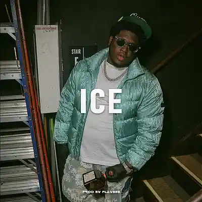Picture for song '"ICE" SEXY DRILL TYPE BEAT' by artist 'flaybee'
