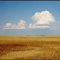 Picture for song 'Endless Prairie Of Regret take 2' by artist 'Jeff Perkins'