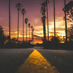 Picture for song 'Chronic' by artist 'RelevantBeats90'