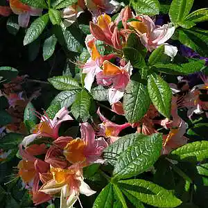 Picture for song 'Dark Movie 2' by artist 'Restsound'