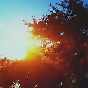 Picture for song 'Rackaid - 154bpm @bloodybastion' by artist 'BloodyBastion'