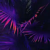 Picture for song 'fresh blood' by artist 'Chill hey-Chill'