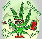 Picture for song 'hi hatter' by artist 'FADED206'