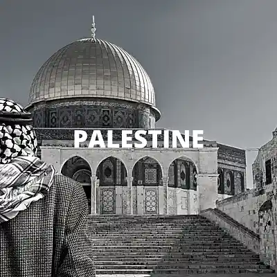 Picture for song 'Palestine (Buy 1 Get 10 Free)' by artist 'Kontraa'