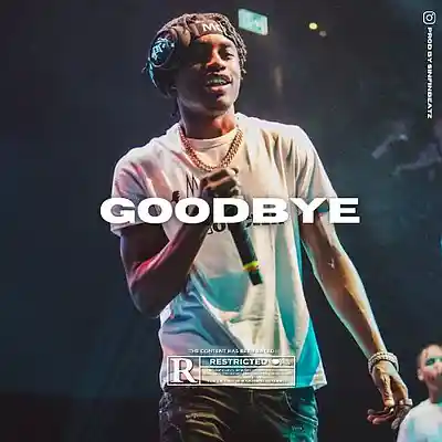 Picture for song '*NEW* GOODBYE (BUY 2 GET 3 FREE)' by artist 'Victus Fire'