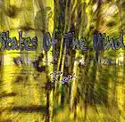 Picture for song 'The Lhabia' by artist 'States Of The Mind'