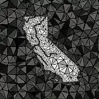 Picture for song 'TAKE ME HOME CALIFORNIA' by artist 'THE DESTINOTICS'
