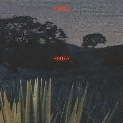Picture for song 'ROOTS - D#minor 100 BPM' by artist 'Ayres'