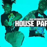 Picture for song '*House Party* (Rae Sremmurd)' by artist 'BigBoyTraks'