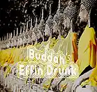 Picture for song 'Jazz Freestyle' by artist 'Buddha's Effin Drunk'