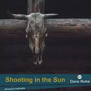 Picture for song 'Shooting in the Sun (160 bpm)' by artist 'Dave Nuke'