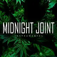 Picture for song 'Midnight Joint' by artist 'Digital Flashback Beats'
