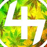 Picture for song 'Mellow (Chicago Type Beat)' by artist 'Fantasy Beats'