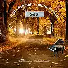 Picture for song 'Improv 1 (Set 5)' by artist 'Julius Schmidt'