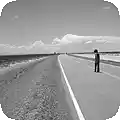 Picture for song 'Trópico Del Tripi' by artist 'Picaporters'