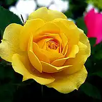 Picture for song 'Blown Fuse' by artist 'Plaza7'