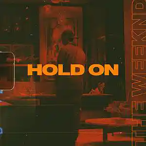 Picture for song 'Hold On (Buy 1 Get 1 Free)' by artist 'SIGHOST'
