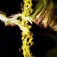 Picture for song '1.Quicker than a shoe shine' by artist 'BGN'