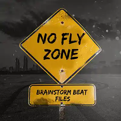 Picture for song 'Hip-Hop Type Beat - "No Fly Zone"' by artist 'BrainStorm Beat Files'