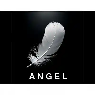 Picture for song 'Angel' by artist 'Jean-Denis Couture'